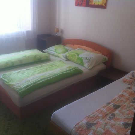 Penzion U Skalaku Apartment Dolni Dunajovice Bagian luar foto