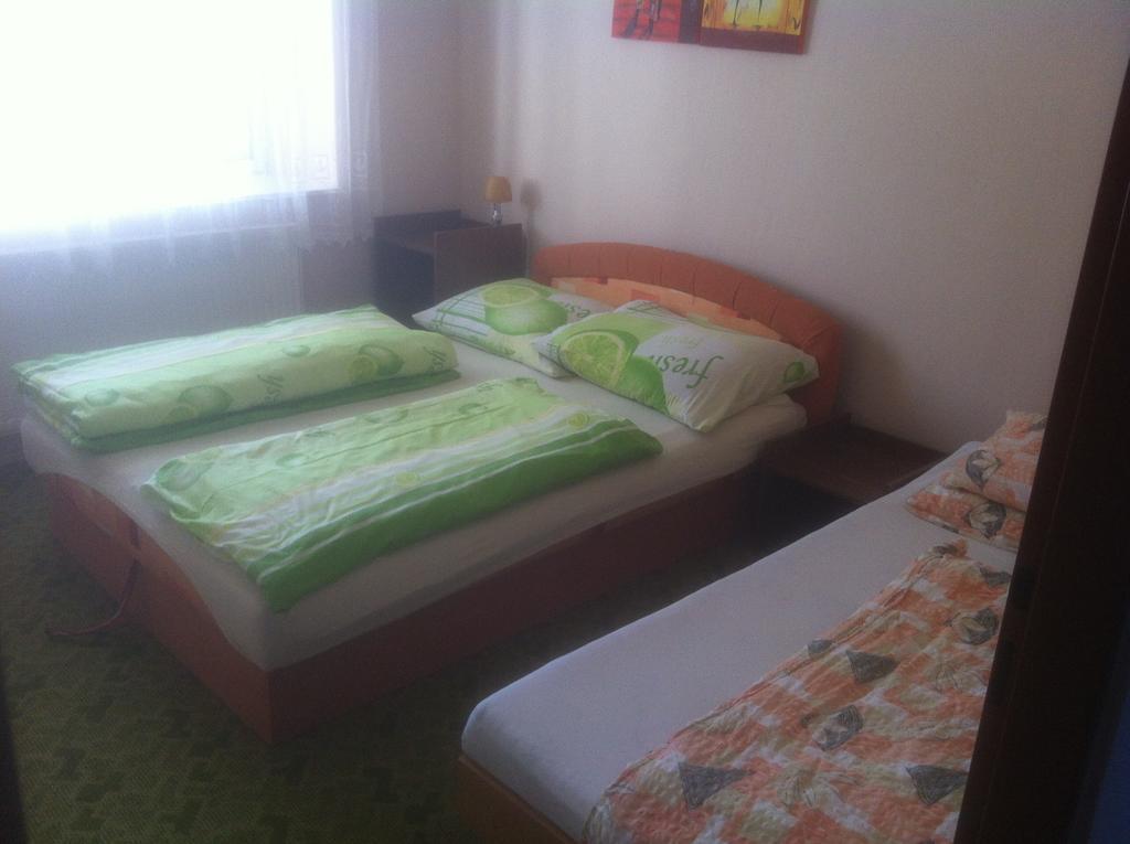 Penzion U Skalaku Apartment Dolni Dunajovice Bagian luar foto